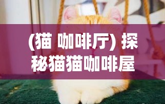 (猫 咖啡厅) 探秘猫猫咖啡屋：如何打造宠物友好的休闲空间