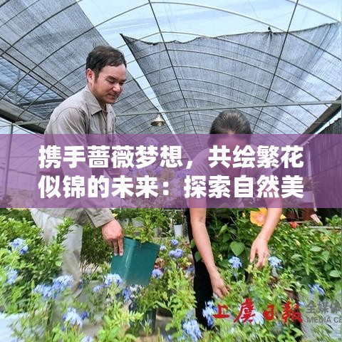 携手蔷薇梦想，共绘繁花似锦的未来：探索自然美学与生活哲学的奇妙融合